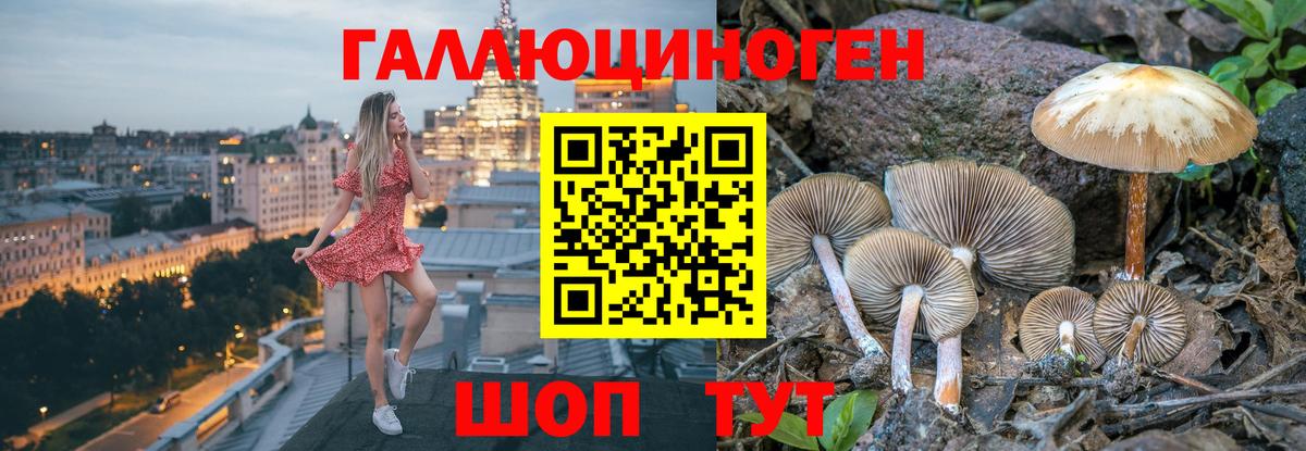 Бийск  наркотики  Вход с VPN  Псилоцибиновые грибы Psilocybe  Галлюциногенные грибы Magic Shrooms 